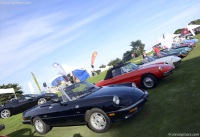 1986 Alfa Romeo Spider Graduate